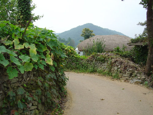 초가지붕의 둥근 선-멀리 보이는 산과 닮아 있다 